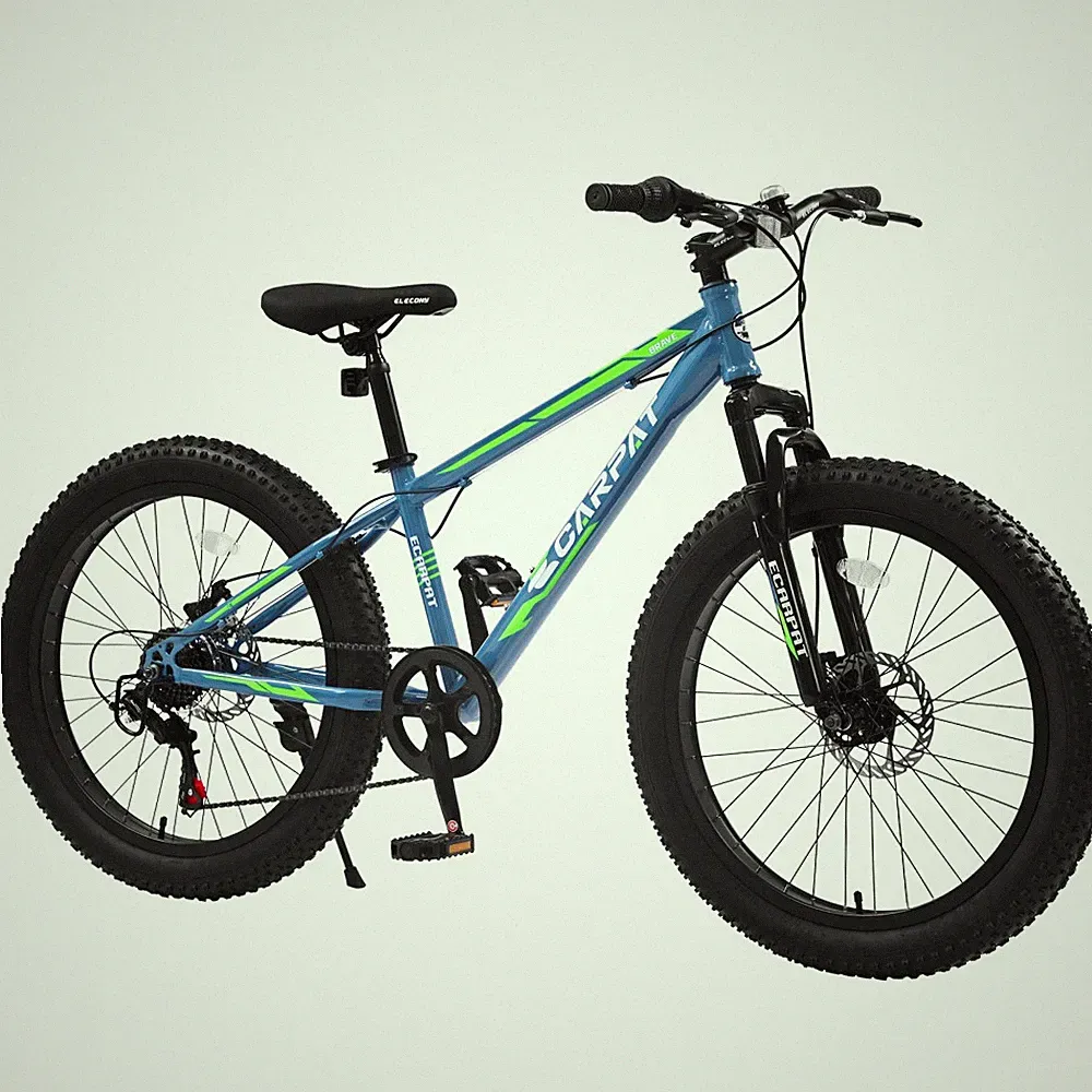 24" Fat Tire Mountain Bike Shimano 7-Speed Dual Disc Brake Front Suspension MTB