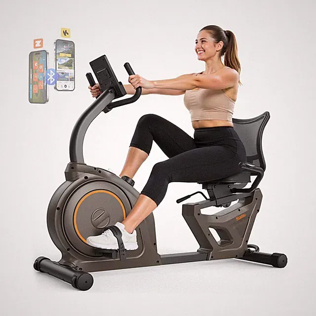 Niceday Recumbent Exercise Bike, Recumbent Bike for Home, Recumbent Stationar...