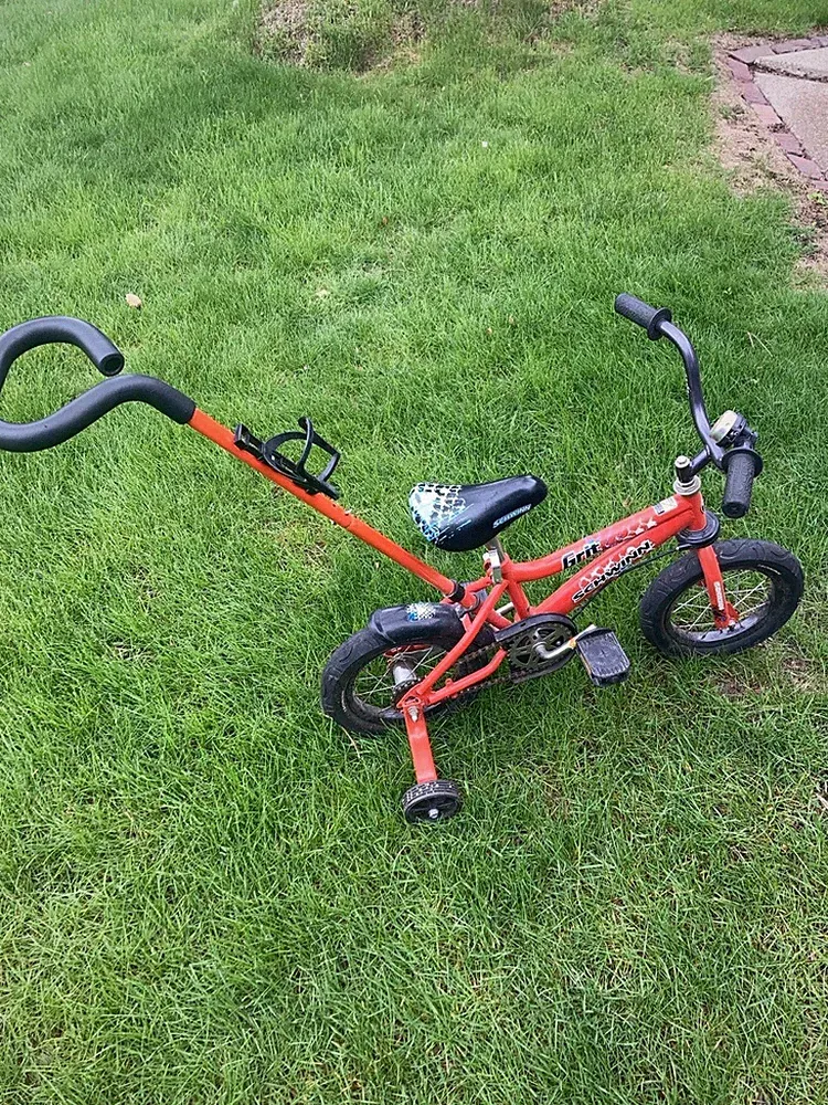 Schwinn Grit Push Steer And Ride Kids Bike Boys Beginner Bicycle 12-Inch Orange